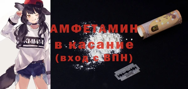 хмурый Абаза
