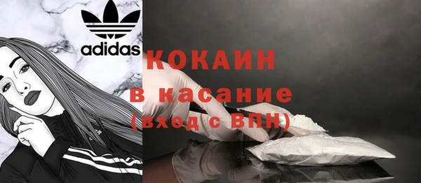 хмурый Абаза
