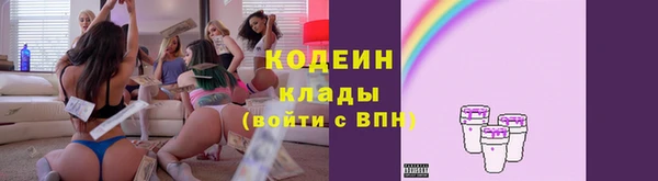 хмурый Абаза