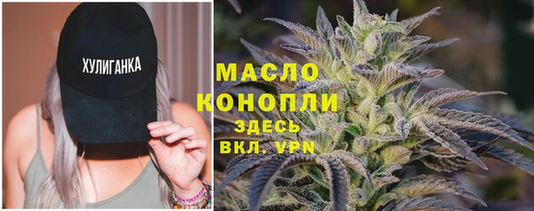 хмурый Абаза