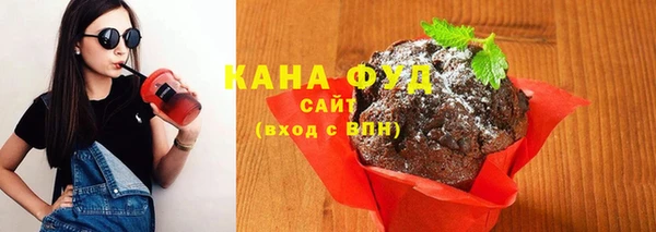 хмурый Абаза