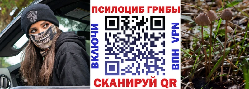 Псилоцибиновые грибы Cubensis  купить  цена  Омск 